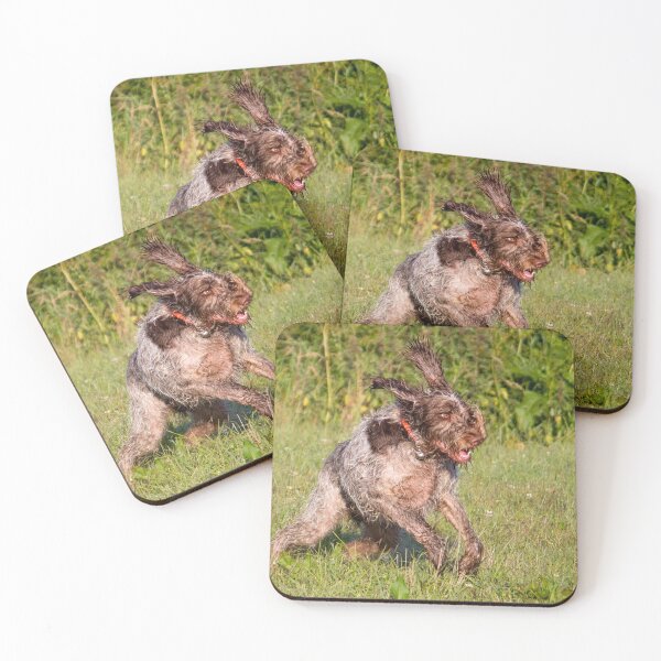 Item preview, Spinone Hare designed and sold by FOLK ART FUSION.