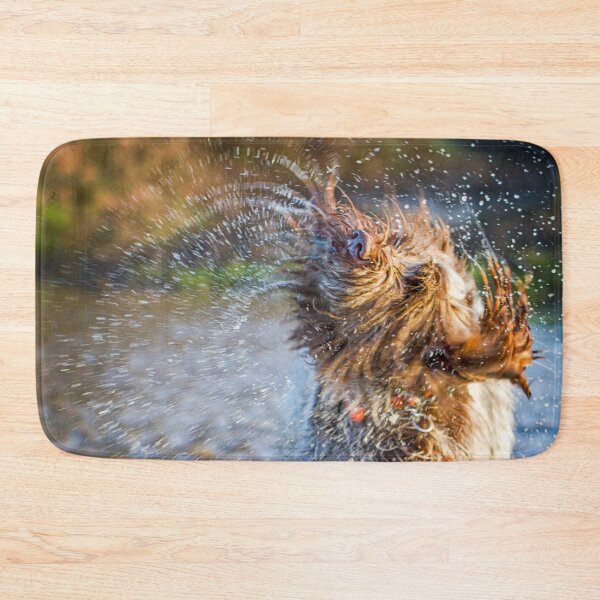 Item preview, Water Fountain Spinone designed and sold by FOLK ART FUSION by heidiannemorris.