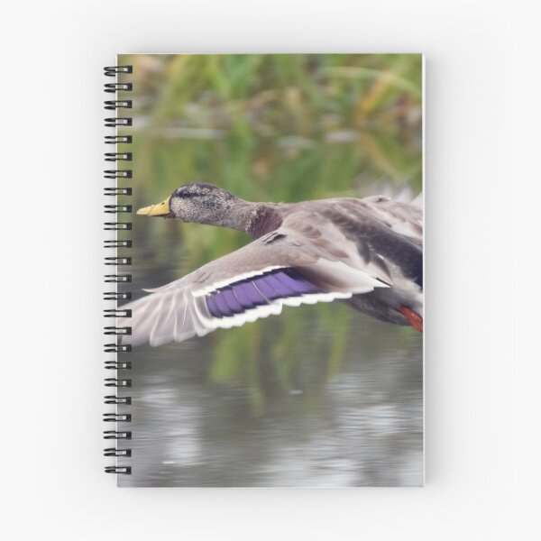 Item preview, Duck Landing designed and sold by Paul Crabtree.