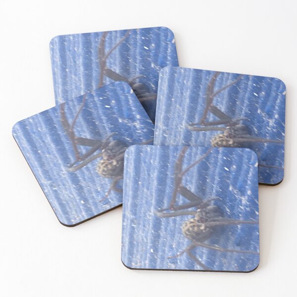 Item preview, Black widow on blue designed and sold by arcadianjones.