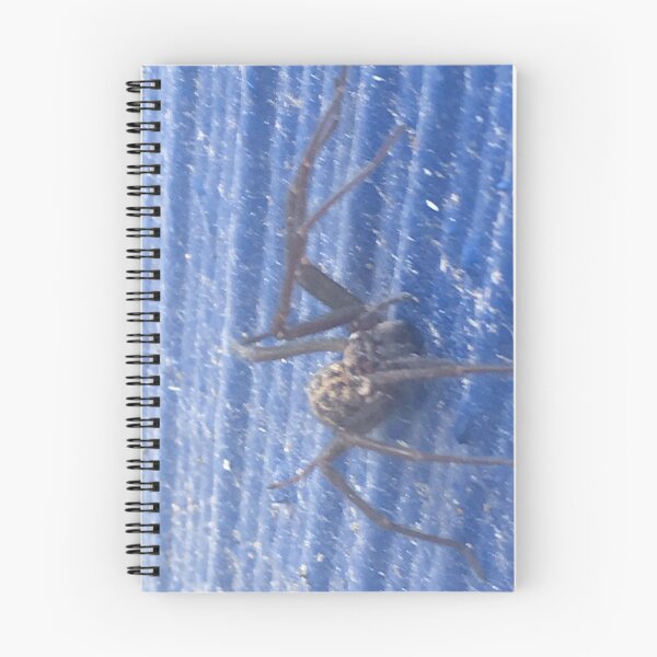 Item preview, Black widow on blue designed and sold by arcadianjones.