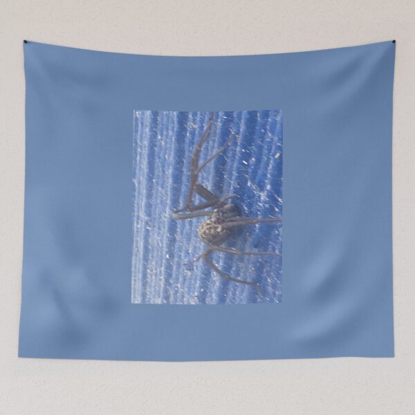 Item preview, Black widow on blue designed and sold by arcadianjones.