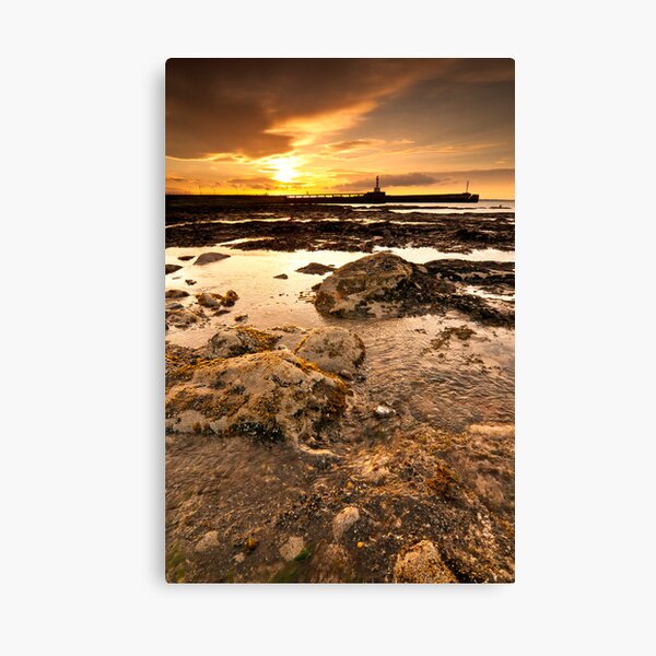 Twin Piers Canvas Print
