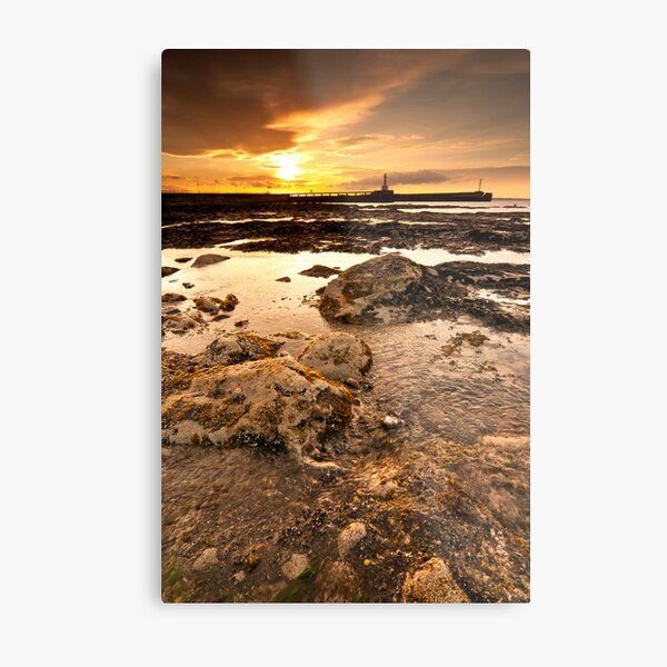 Twin Piers Metal Print