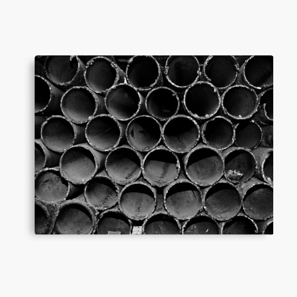 The Forgotten Canvas Print