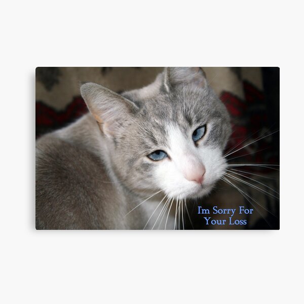 Sympathy Card Canvas Print
