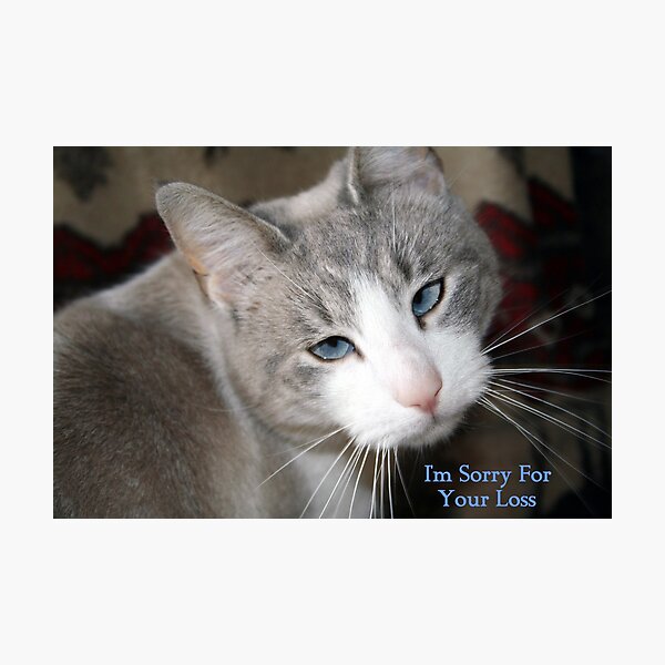 Sympathy Card Photographic Print