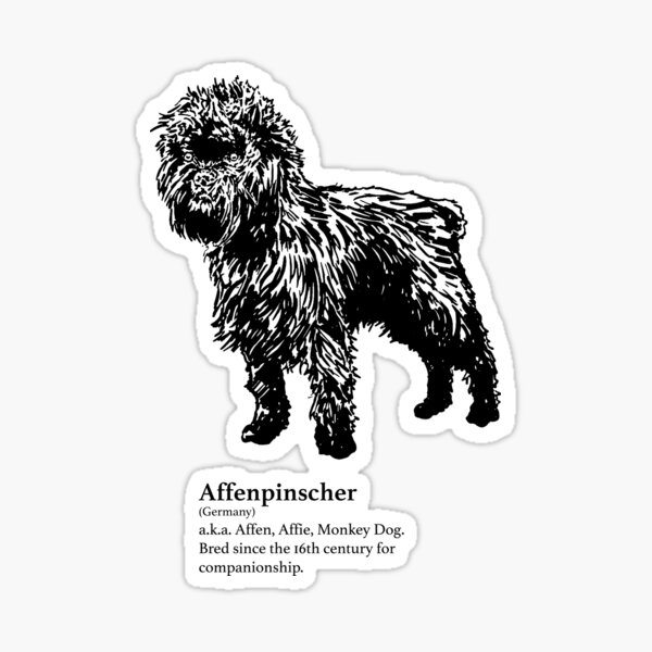 Affenpinscher Sticker