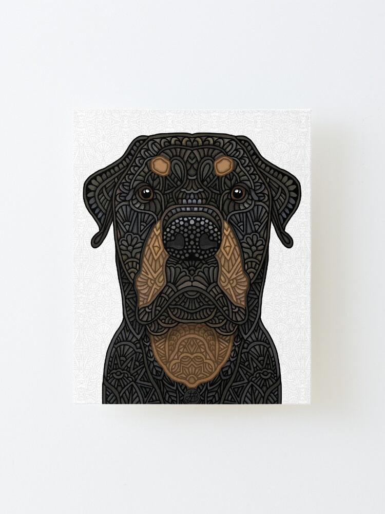 rottweiler teddy