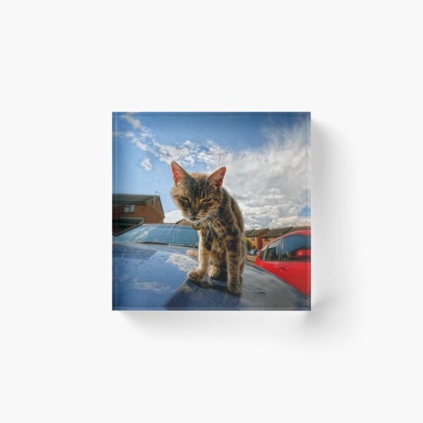 Item preview, Worse for wear I always look like this ! designed and sold by Photography & Emotive Ai.