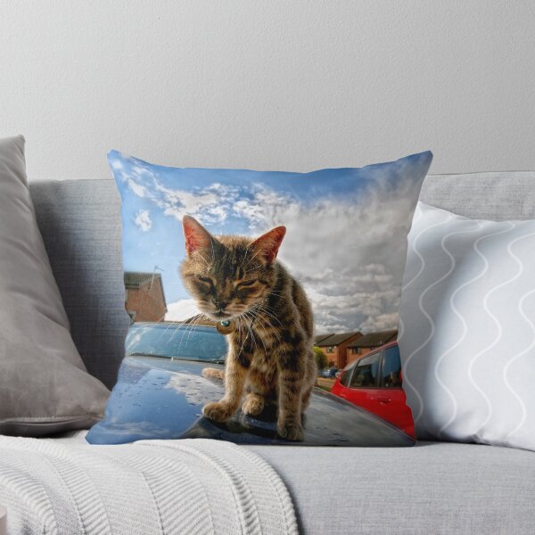 Item preview, Worse for wear I always look like this ! designed and sold by Photography & Emotive Ai.