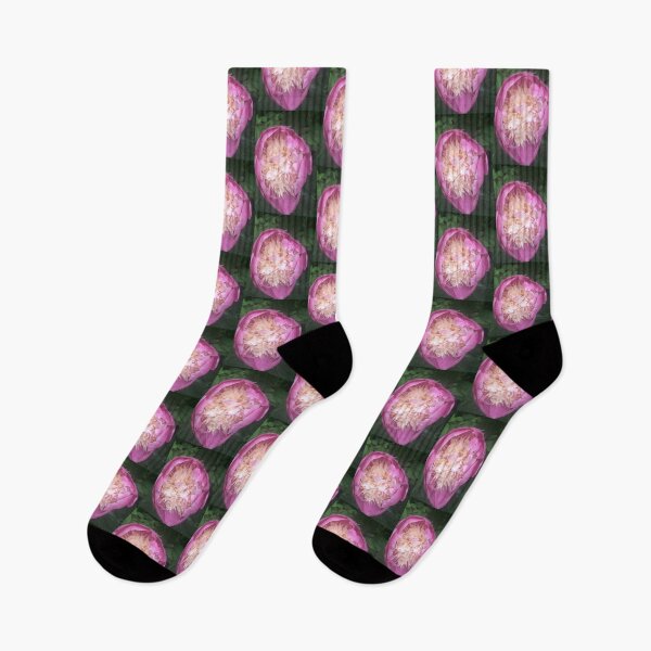 Item preview, Dahlia, rose, flower, pink, camelia designed and sold by arcadianjones.