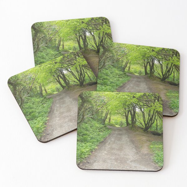 Item preview, Peppercombe walk through the forest designed and sold by twymanphoto.