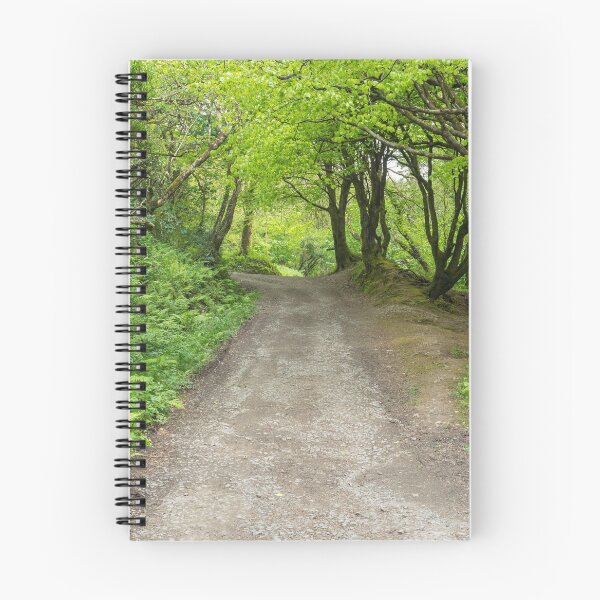 Item preview, Peppercombe walk through the forest designed and sold by twymanphoto.