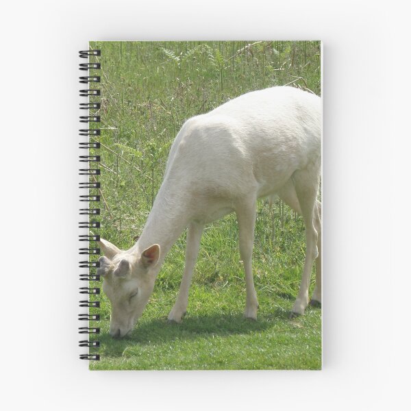 Item preview, White Deer Buck Grazing Photograph designed and sold by naturegallery.