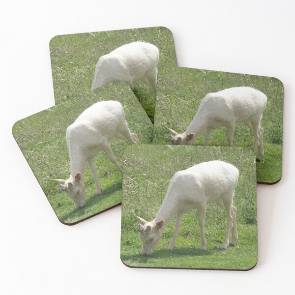 Item preview, White Deer Buck Grazing Photograph designed and sold by naturegallery.