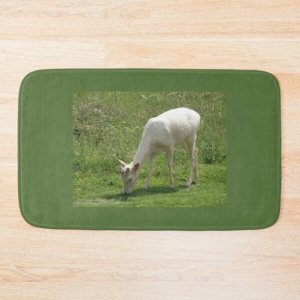 Item preview, White Deer Buck Grazing Photograph designed and sold by naturegallery.