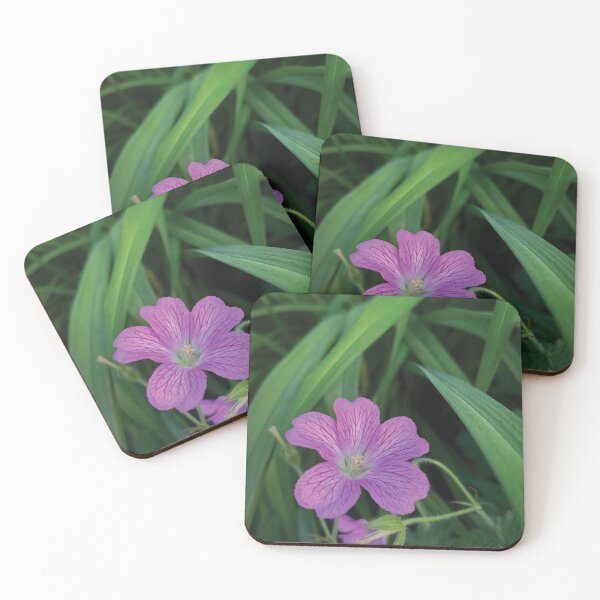 Item preview, Local Geranium  designed and sold by Glenn-Patrick.