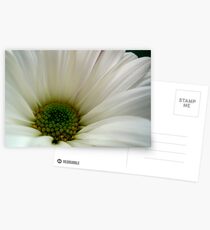 DAISY - Macro ^ Postcards