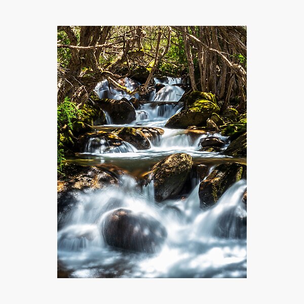 Birralee bushcamp falls Photographic Print