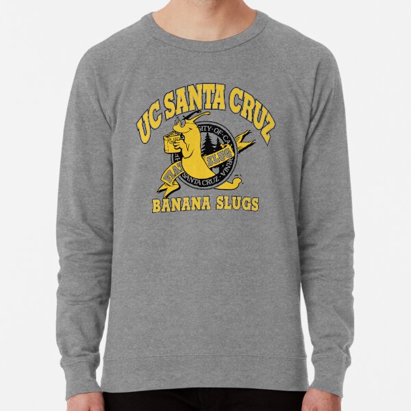 Santa Cruz California Sweatshirt - Retro 80er Design Für Surfer & Beach-Fans