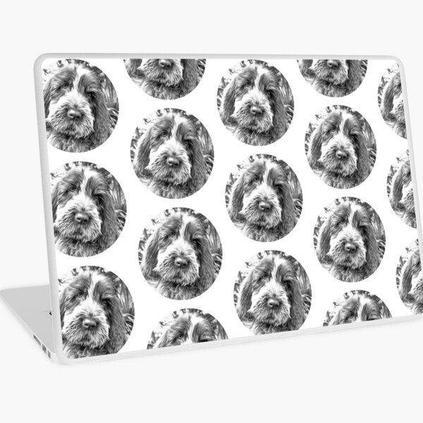Sitting puppy Spinone Laptop Skin