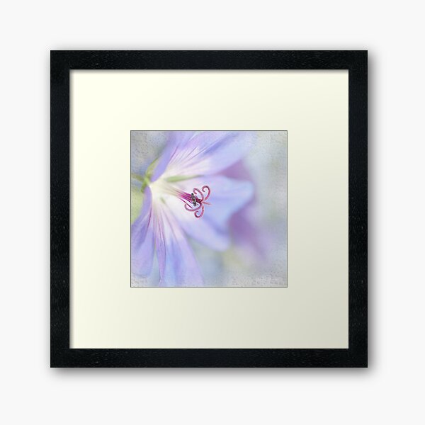 Blue Cranesbill Framed Art Print