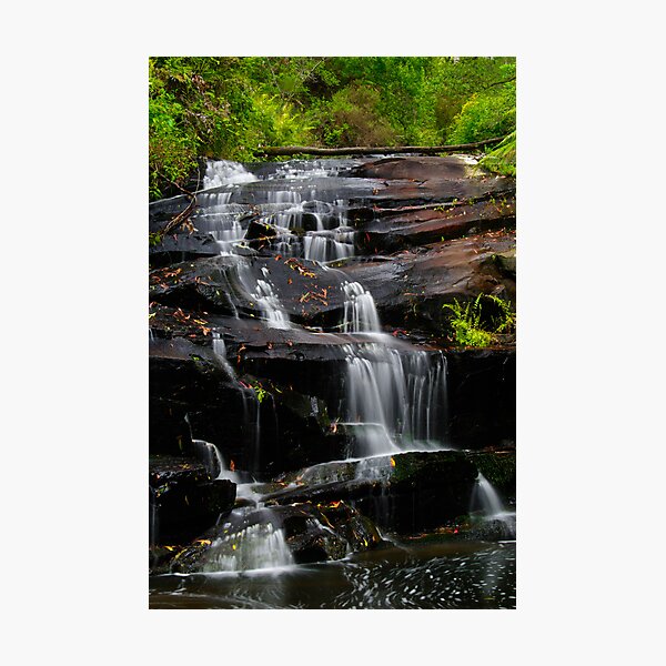 Cora Lynn Cascades Otways National Park Photographic Print