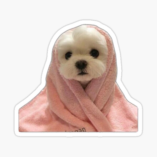 Item preview, White Dog in Pink Blanket Sticker designed and sold by aeskayla.