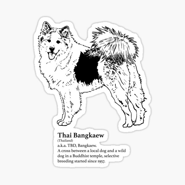 Thai Bangkaew Sticker