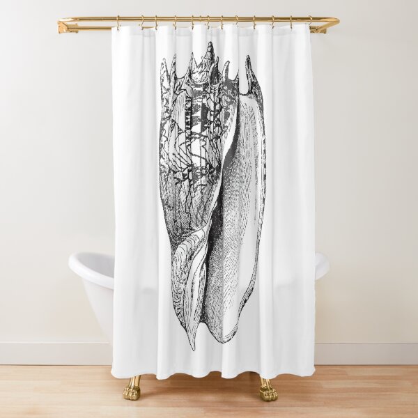 Vintage Sea Shells Shower Curtains for Sale