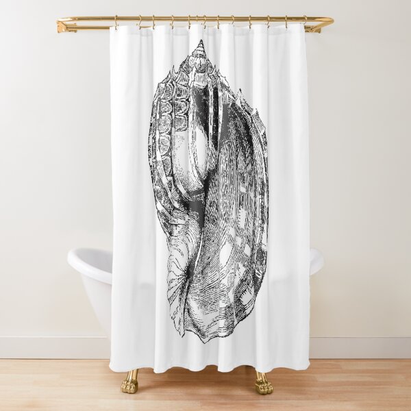 Seashell, Sea Shell, Conch Shell, Vintage Shells, Vintage Seashells, Vintage Sea Shells, Black and White,  Shower Curtain for Sale by  EclecticAtHeART