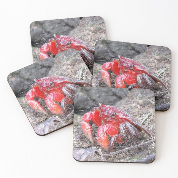 Item preview, Red Flower Crab designed and sold by Linda Walsh.
