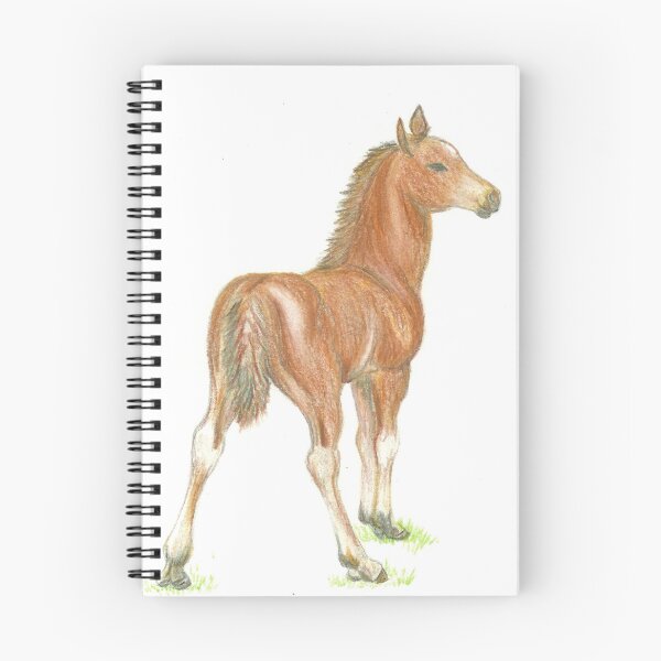 Item preview, foal more colour designed and sold by RoslynClark.