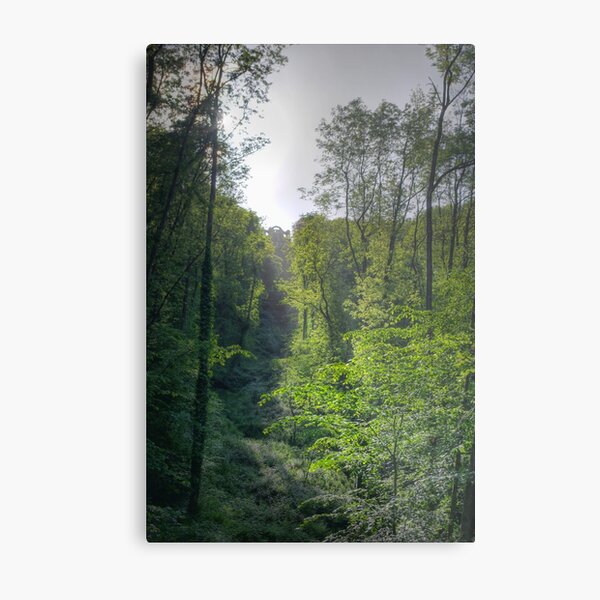 Sunlight across the Ruin at Hackfall Metal Print