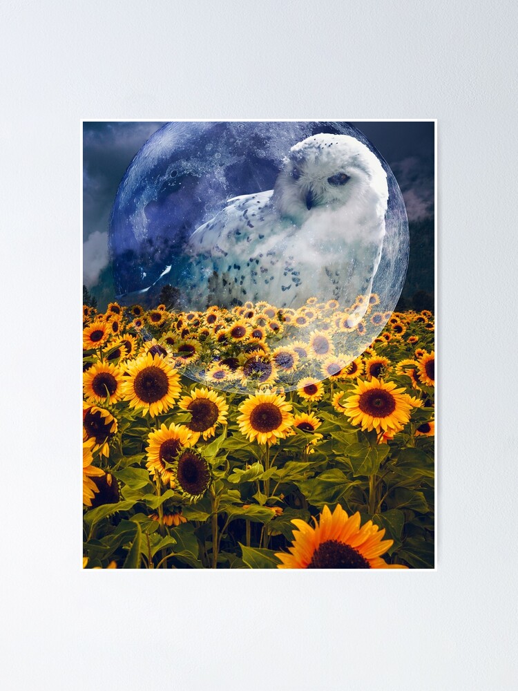 Póster «Campos de girasol búho» de Inwarddivine | Redbubble