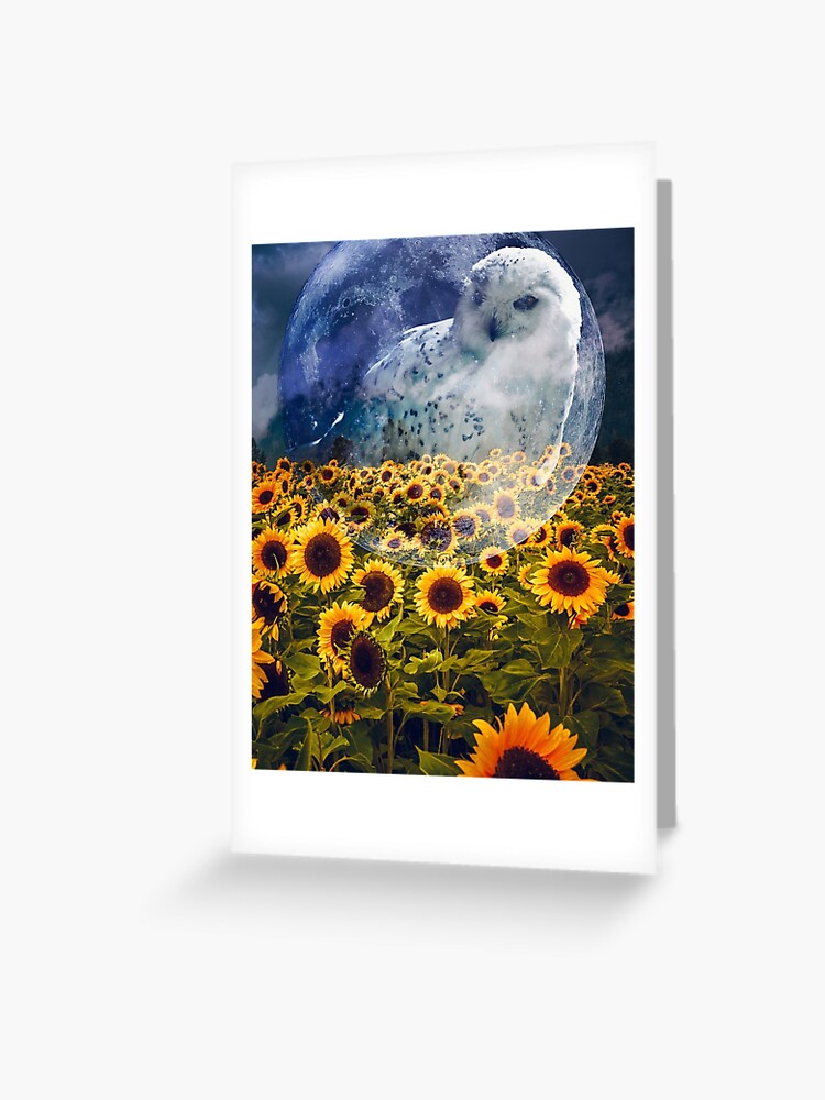 Tarjetas de felicitación «Campos de girasol búho» de Inwarddivine |  Redbubble