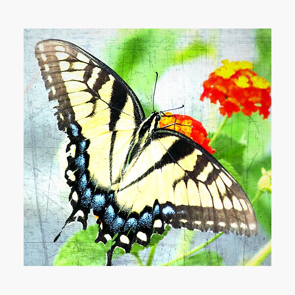 Item preview, Butterfly Art designed and sold by vasu.
