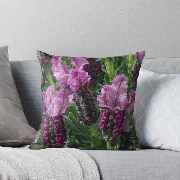 Item preview, Pink Lavender Leith Park Victoria 20150916 0355   designed and sold by Fred Mitchell.