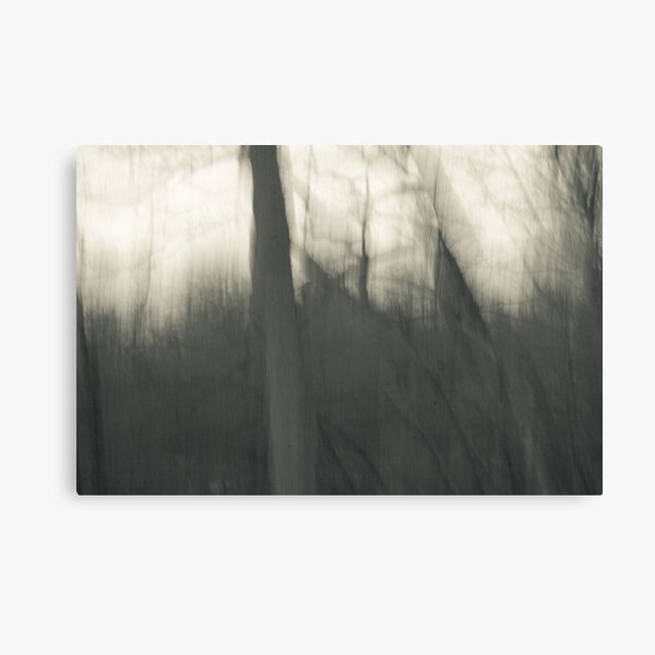 Vagary Canvas Print