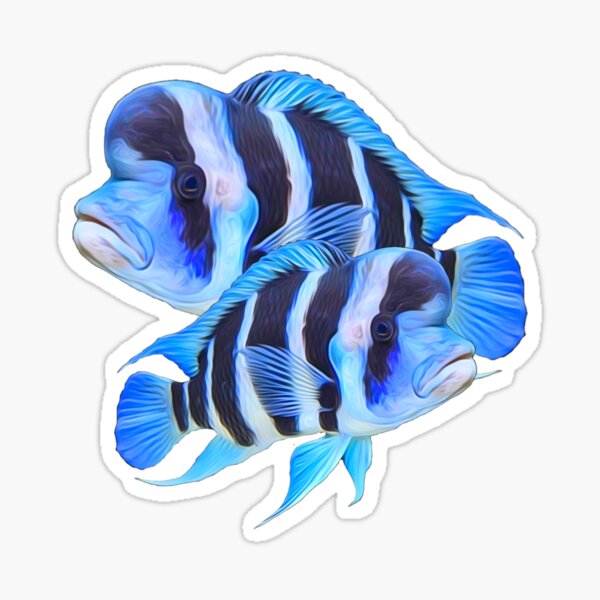 Vista previa del artículo con la obra «Regalo de propietarios de acuarios de acuario cíclido Frontosa», diseñado y vendido por Catxel.