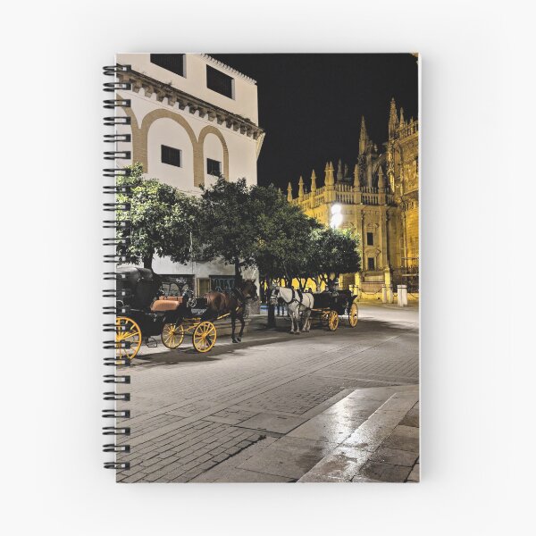 Item preview, Seville at Night - NT-005 designed and sold by roryridleyduff.
