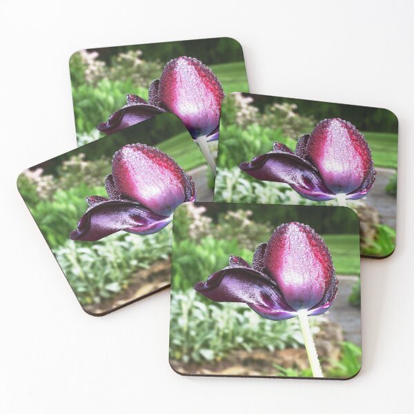 Item preview, Vivid violet tulip designed and sold by BBrightman.