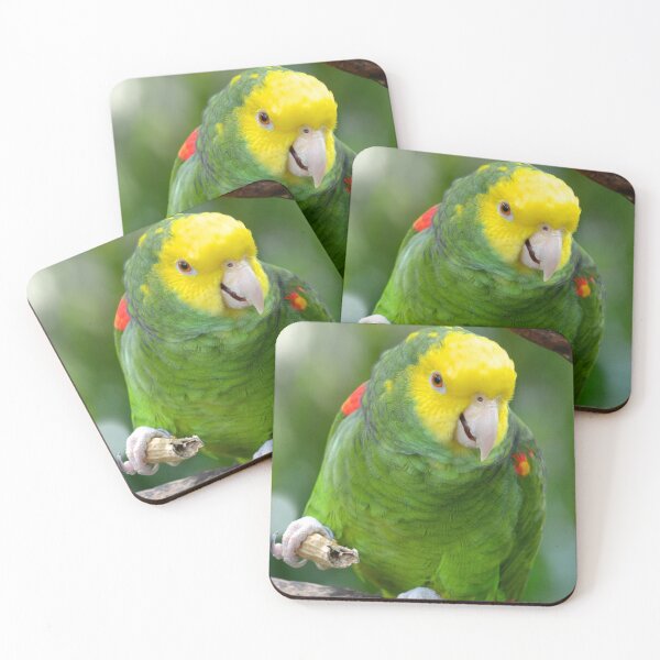 Item preview, Yellow Headed Amazon Parrot designed and sold by richardbryce.