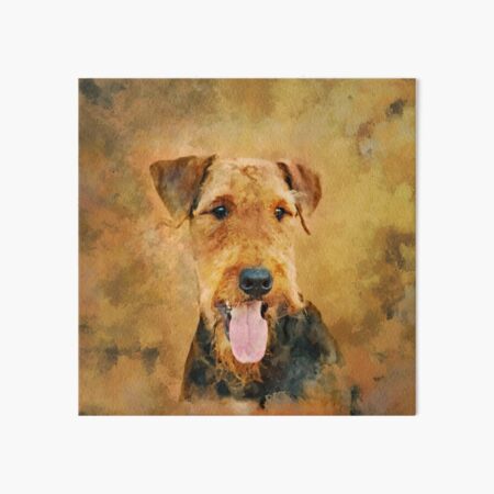 Airedale painting hot sale