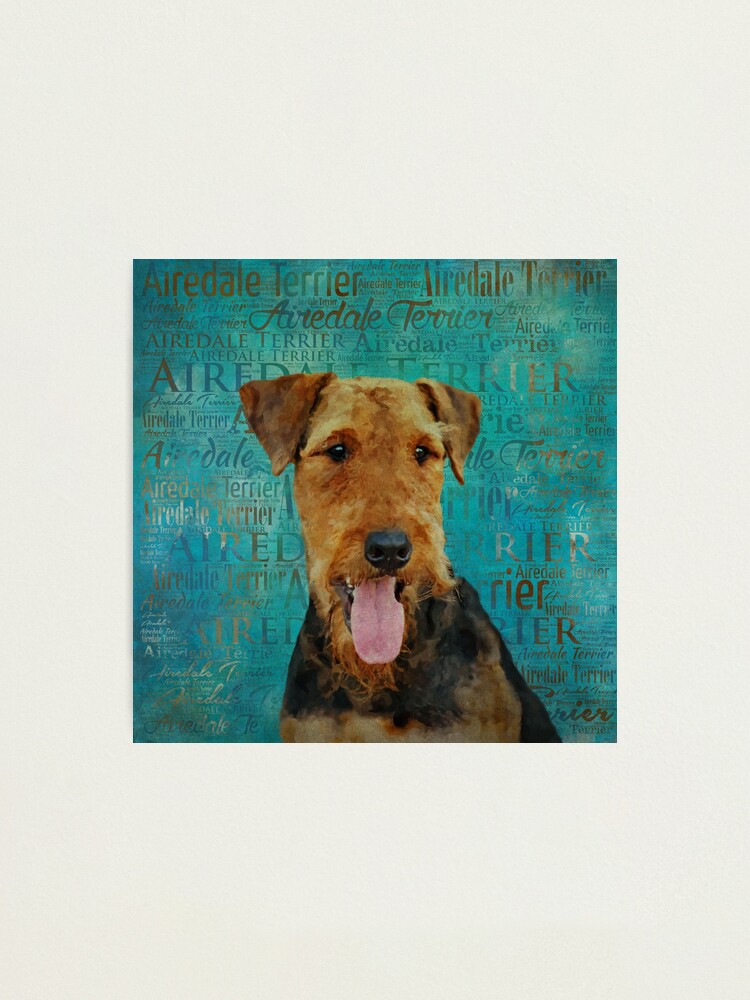 Airedale painting hot sale