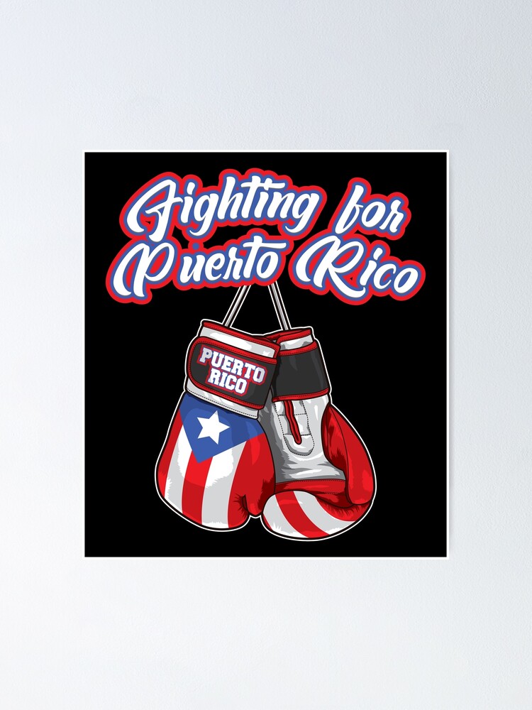 boxing gloves with puerto rican flag