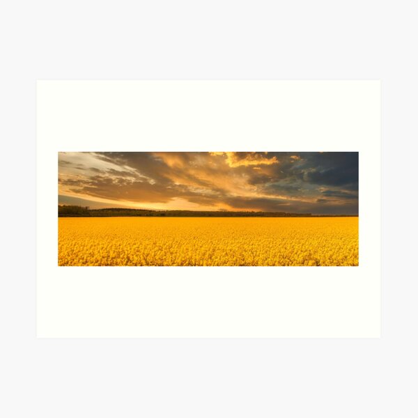 Lincolnshire Sunset Art Print