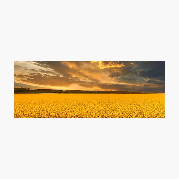 Lincolnshire Sunset Photographic Print