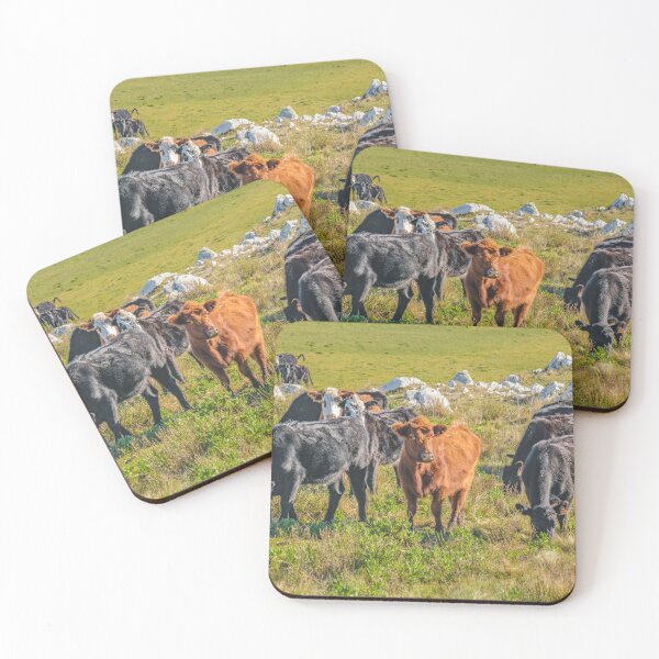 Item preview, Cows at Countryside, Maldonado, Uruguay designed and sold by DFLC Prints.